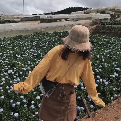Du lịch tết ở đâu