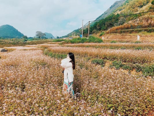 Du lịch tết ở đâu