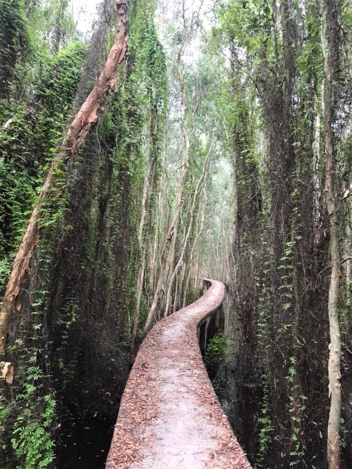 Tết dương nên đi đâu chơi