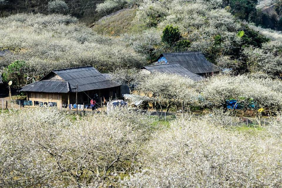 Tết này đi đâu