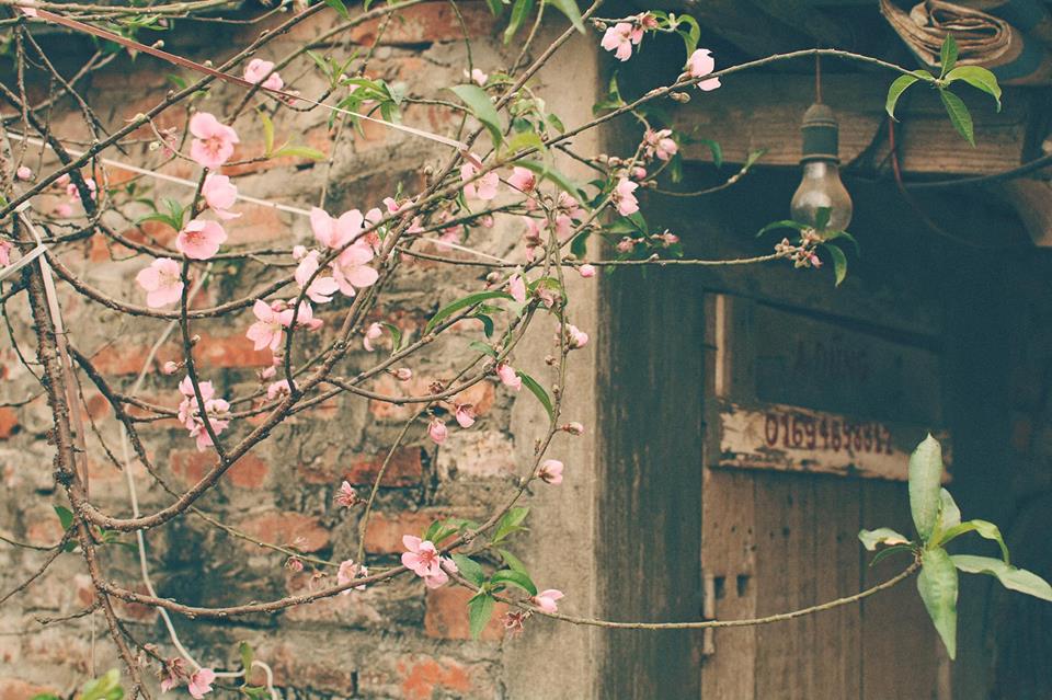 Tết dương nên đi đâu chơi