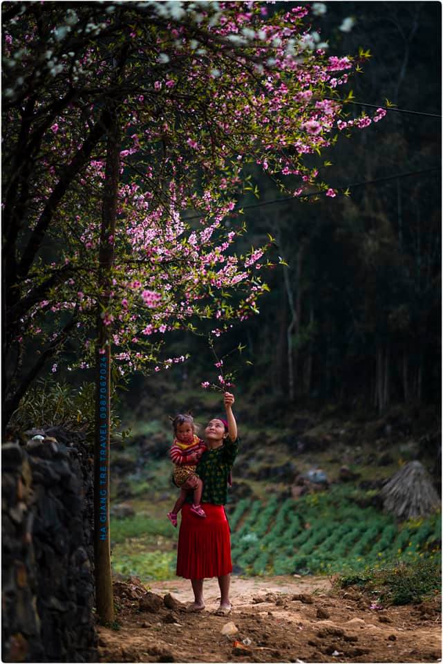 Tết này đi đâu