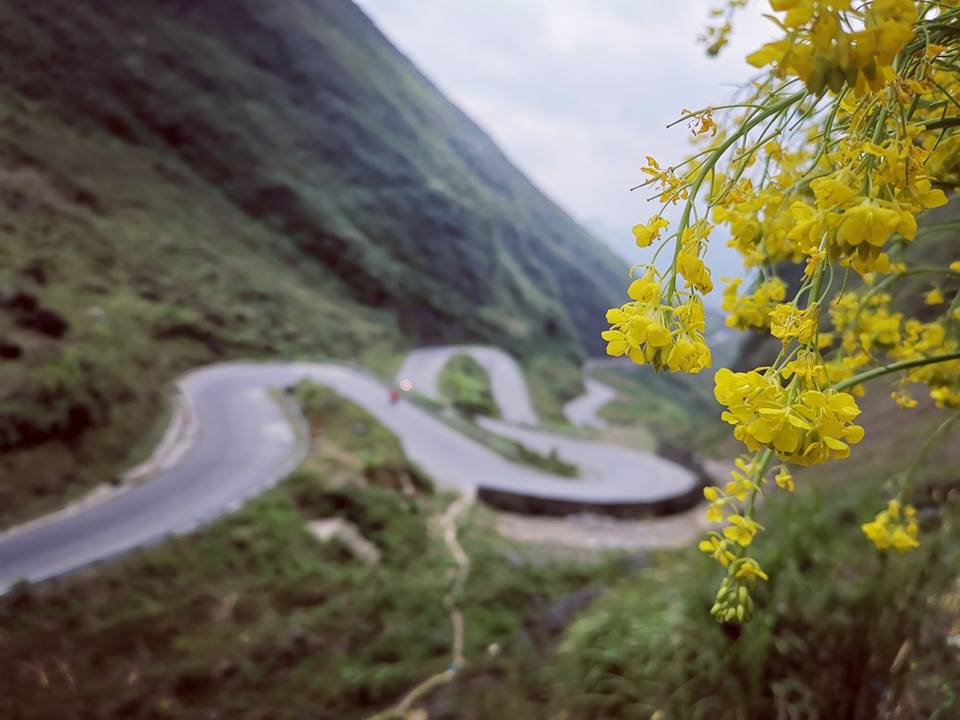 Tết dương nên đi đâu chơi