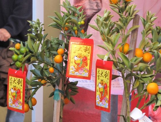 Du lịch Tết âm