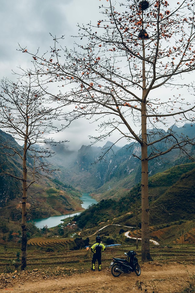 Tết này đi đâu