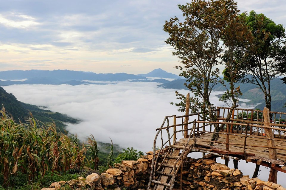 Tết này đi đâu