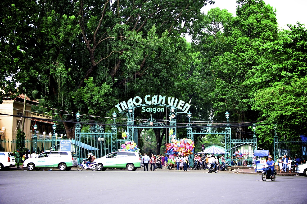 Tết dương nên đi đâu chơi