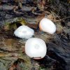 den-leu-cam-led-naturehike-nh16d300-d-05