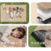 tham-picnic-naturehike-cnk2350ws010-2
