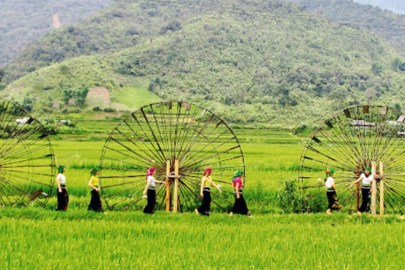 du lịch bụi gia đình
